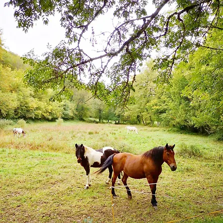 La Combe Aux Etoiles * Villefranche-de-Rouergue